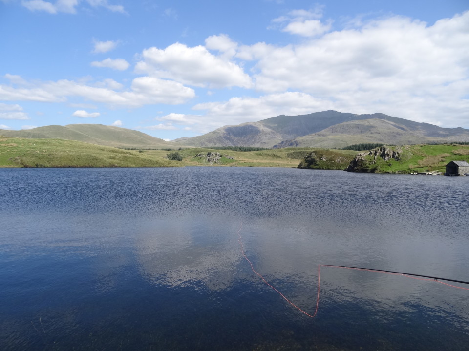 Llyn y Dywarchen (SGLL Fishing Society) | Upland Llyns | The Fishing ...