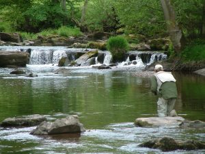 Spring trout fishing on the upper river Usk