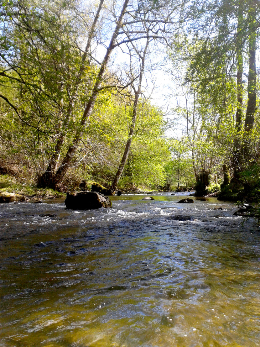 Spring on the Edw