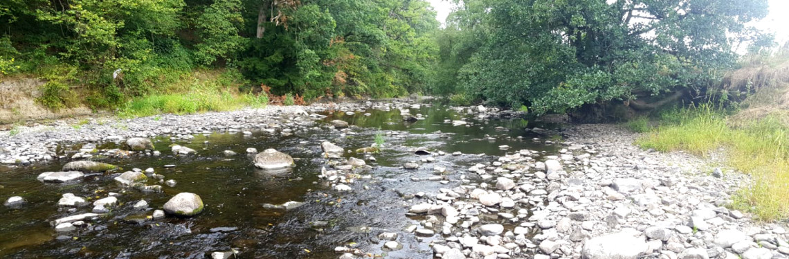 The lower Ithon in August