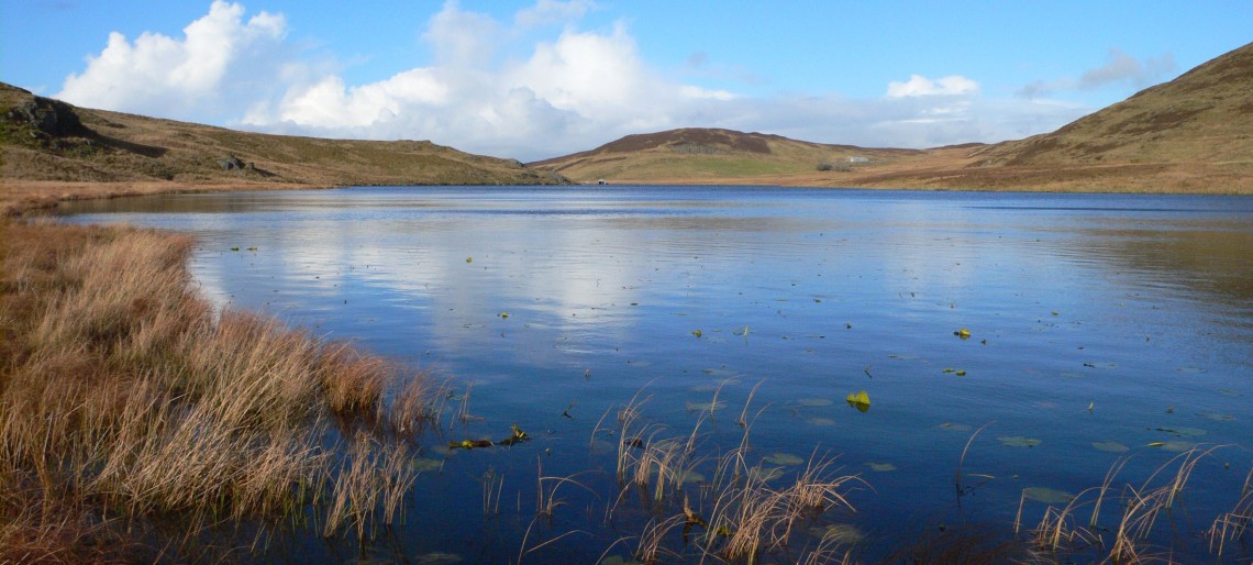 Llyn Bugeilyn