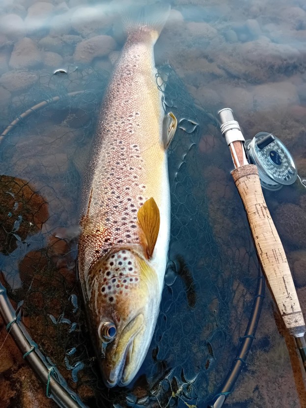 Usk 3 pounder