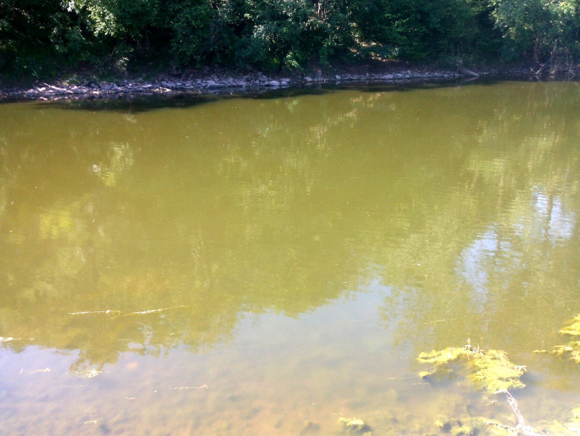 The lower Wye "pea-souper"