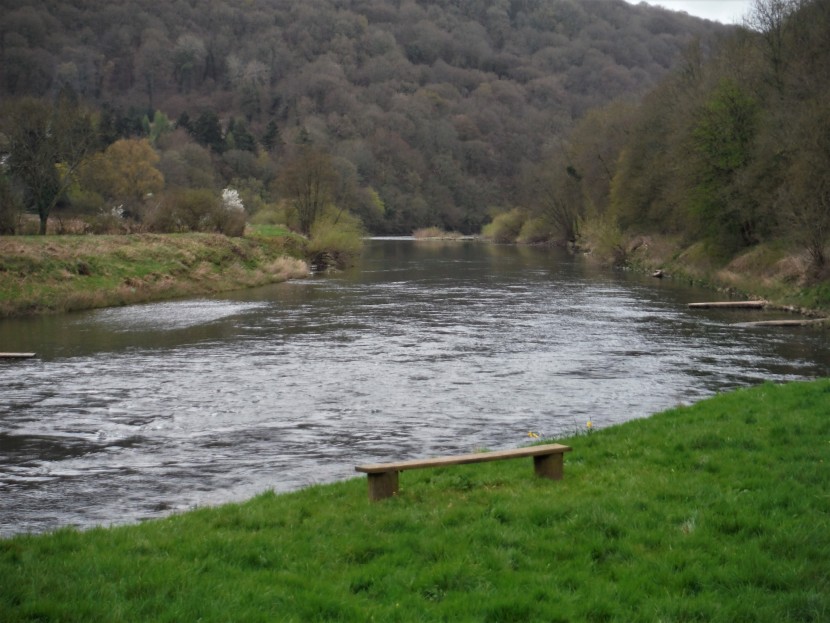 Lower Wye at Bigsweir