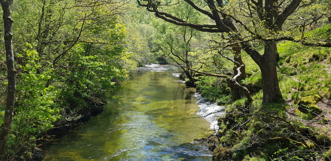 Upper Wye above Rhayader